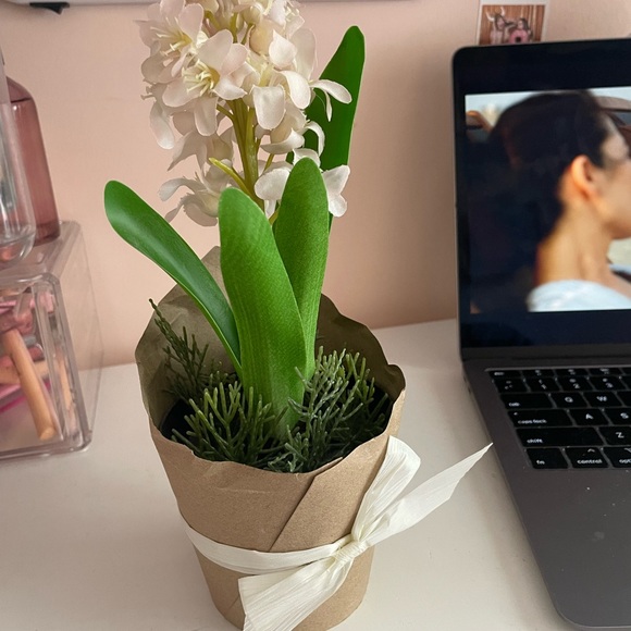 Fake plant from ikea - Picture 2 of 2